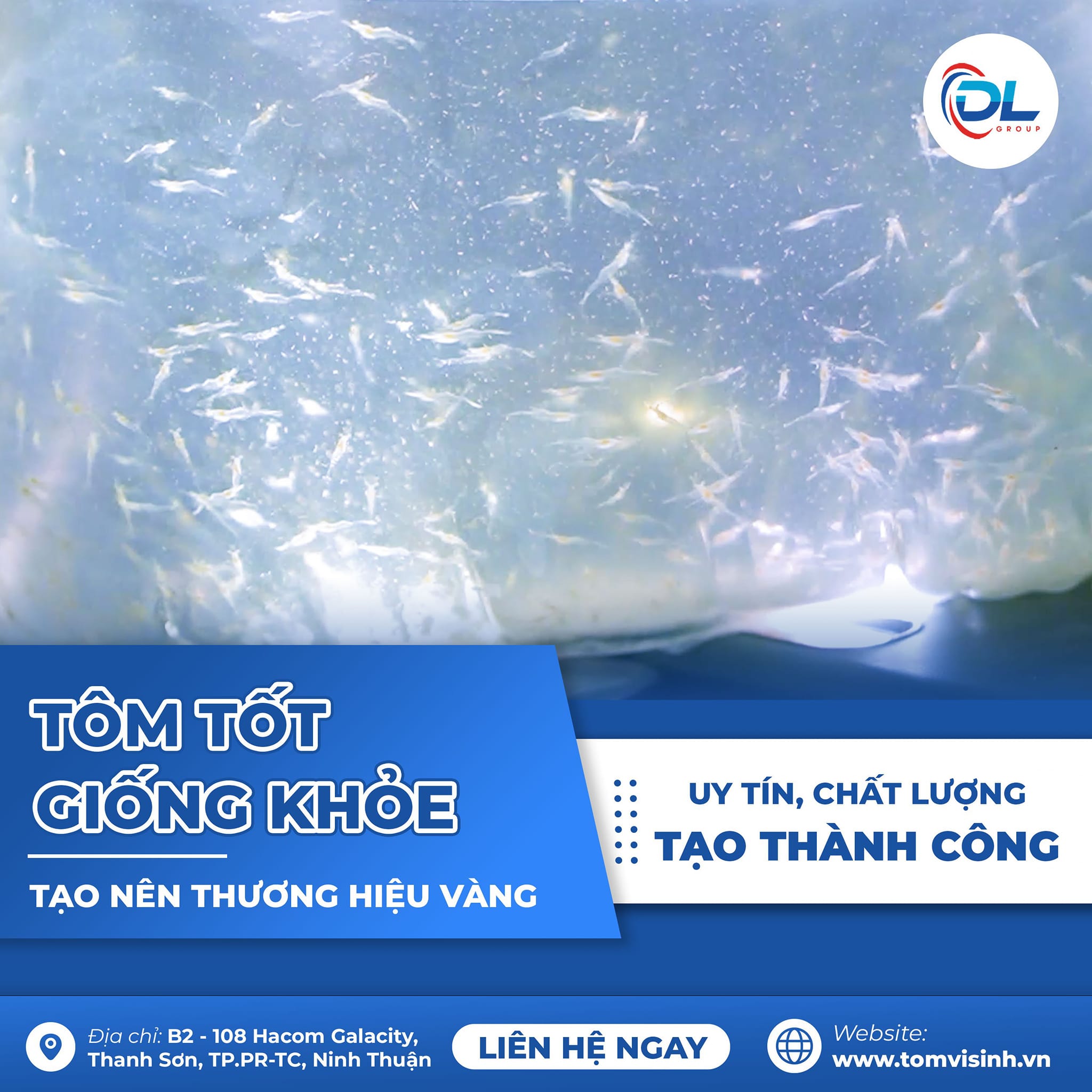 Tôm giống sinh học còn là dòng giống hoàn toàn mới tại DL GROUP