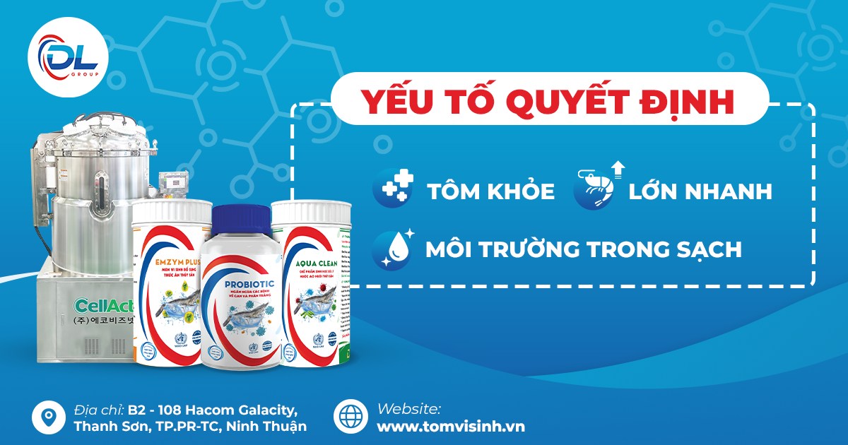 Ứng dụng chế phẩm vi sinh, đảm bảo an toàn cho tôm nuôi trong giai đoạn giao mùa 